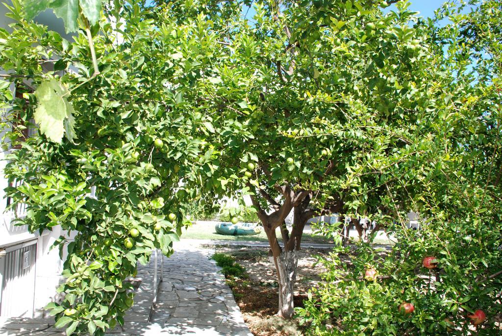 Kostas Family House Apartamento Káto Ássos Exterior foto
