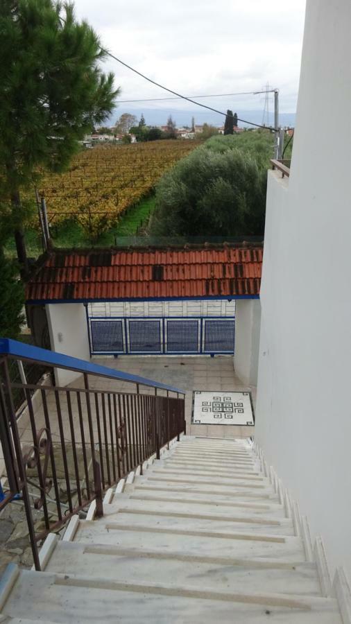 Kostas Family House Apartamento Káto Ássos Exterior foto